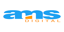 AMS Digital