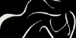 Sculptique Aesthetics