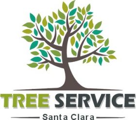 Tree Service Santa Clara