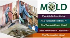 Dade Mold Inspectors