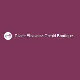 Divine Blossoms Orchid Boutique