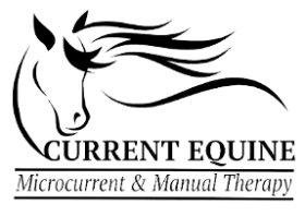 Current Equine-Microcurrent and Manual Therapy