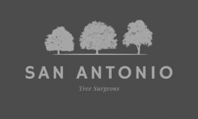 Professional San Antonio Tree Removal