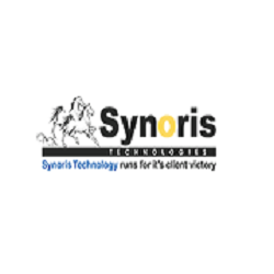 Synoris Technology Pvt Ltd