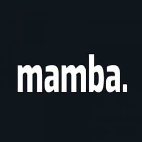 Mamba Agency