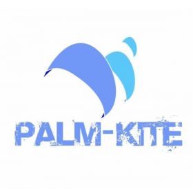Palm-Kite
