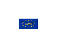 Euro Taxis