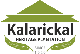 Kalarickal Heritage Bungalow