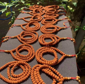 RudraTree Gemstones Rudraksha