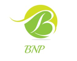 BNP 