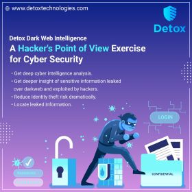 Cyber Security Solution Company- Detox Technologies