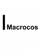 Macrocos International