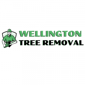 Wellington Tree Removal