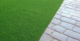 Rooftop Garden Ltd