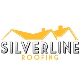 Silverline Roofing Ltd