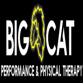 Big Cat Performance & Physical Therapy