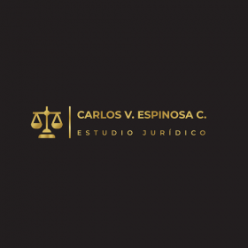 Carlos V. Espinosa C. & Asociados