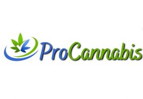 Pro Cannabis