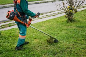 Landscaping ​West Palm Beach