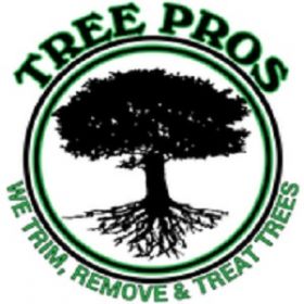 Ocala Tree Service