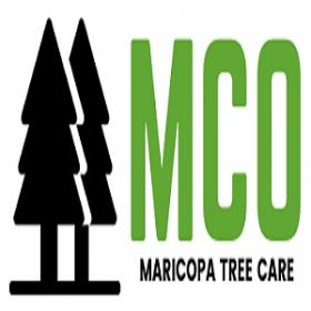 MCO Tree Care