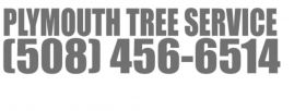plymouthtreeservice123@gmail.com