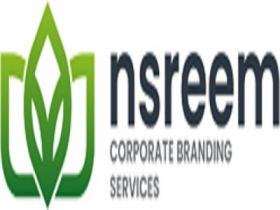 NSREEM LTD
