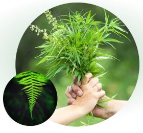 CBD Ads Agency