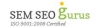 SEM SEO GURUS (India)