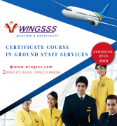 Wingsss Aviation & Hospitality