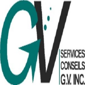 Services conseils G.V. Inc