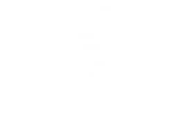 Soumya - Kansa Wand Manufacturer