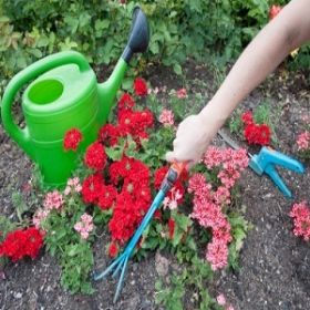 Harrys Gardeners