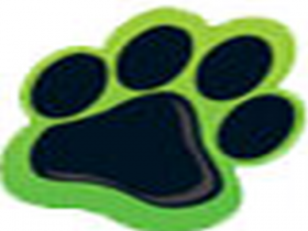 Tiger Pug Commerce Pvt. Ltd.