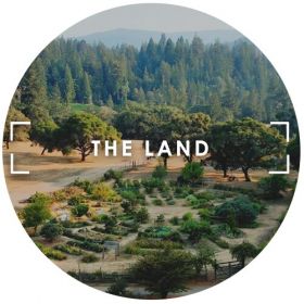 The Land