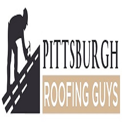 Pittsburgh Roofing Guys