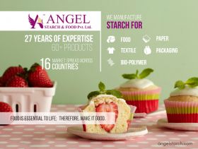 Angel Starch and Food Private Limited