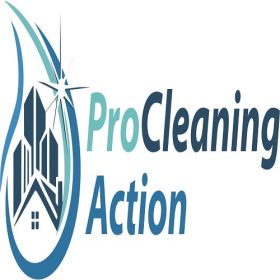 Pro Cleaning Action LLC