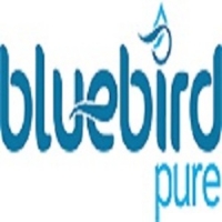Bluebird Pure