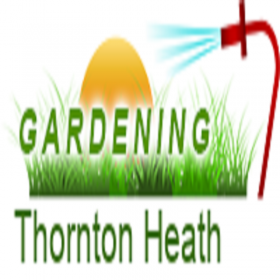 Gardening Thornton Heath