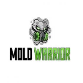 Mold Warrior