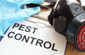 Anderson Pest Control Solutions