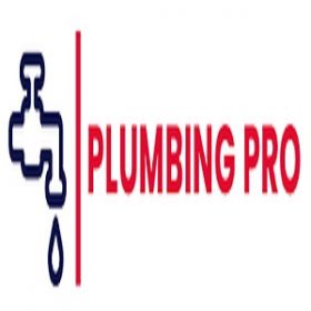 Plumbing professional