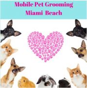 Mobile Pet Grooming Miami Beach