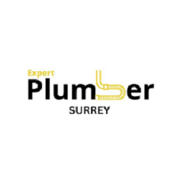 Expert Plumber Surrey
