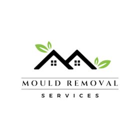  Mould Removal Service