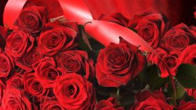 Flowers and gifts delivery in patna