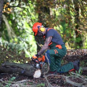 Leicester Tree Services
