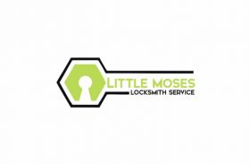 Little Moses