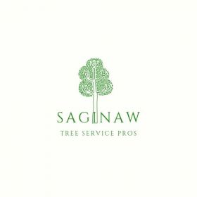 Saginaw Tree Service Pros